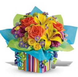 Rainbow Present 
